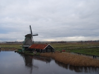 Новый Год 2009 (Амстердам). Опять мельница